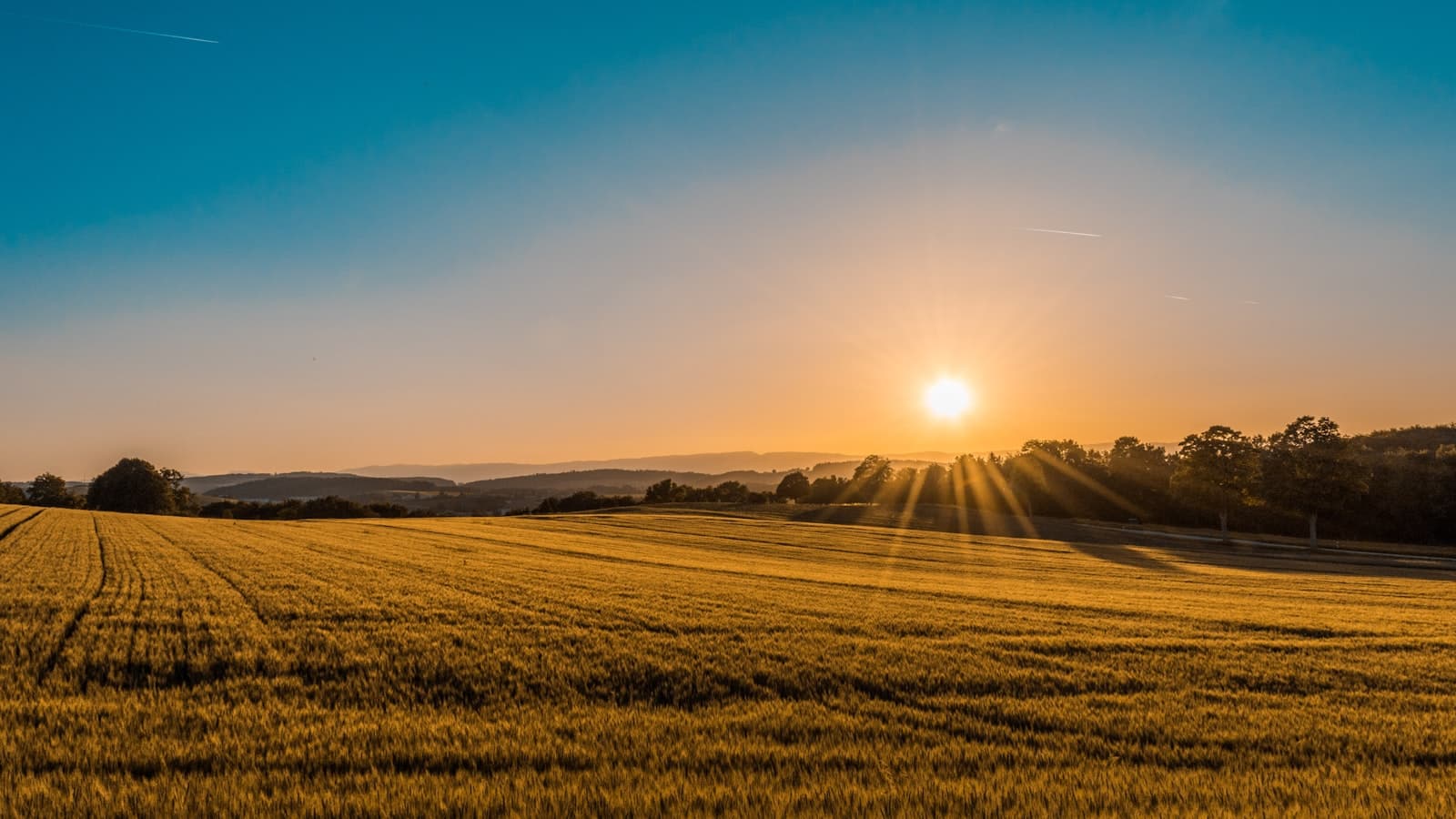 Sunset over a farm field
